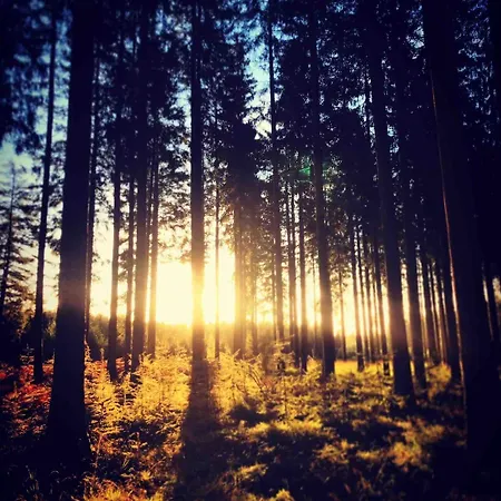 Сasa de vacaciones Loft Cosy, Bain à Bulle Et Garage Privé Saint-Hubert