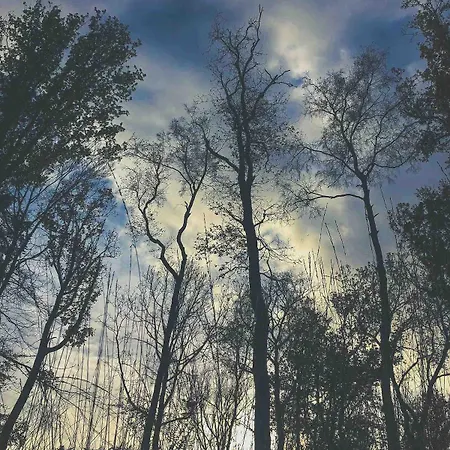 Loft Cosy, Bain A Bulle Et Garage Prive Saint-Hubert